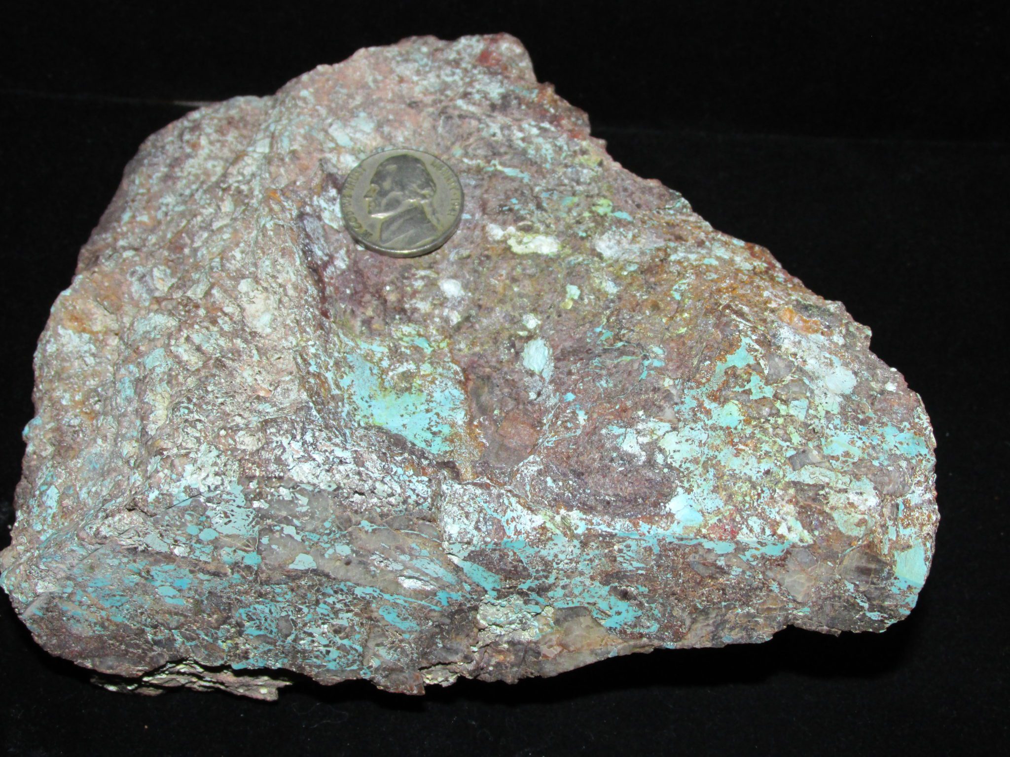 Huge Bisbee Turquoise "Ore" with classic conglomerate lavender host rock