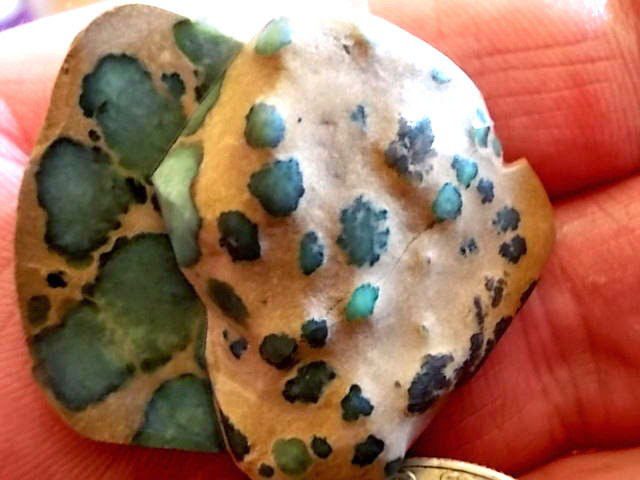 Damele Turquoise (Variscite)
