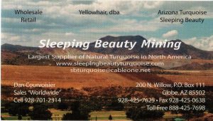 Sleeping Beauty Turquoise Business Card