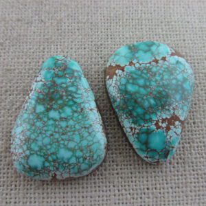 Number 8 Turquoise from Nevada