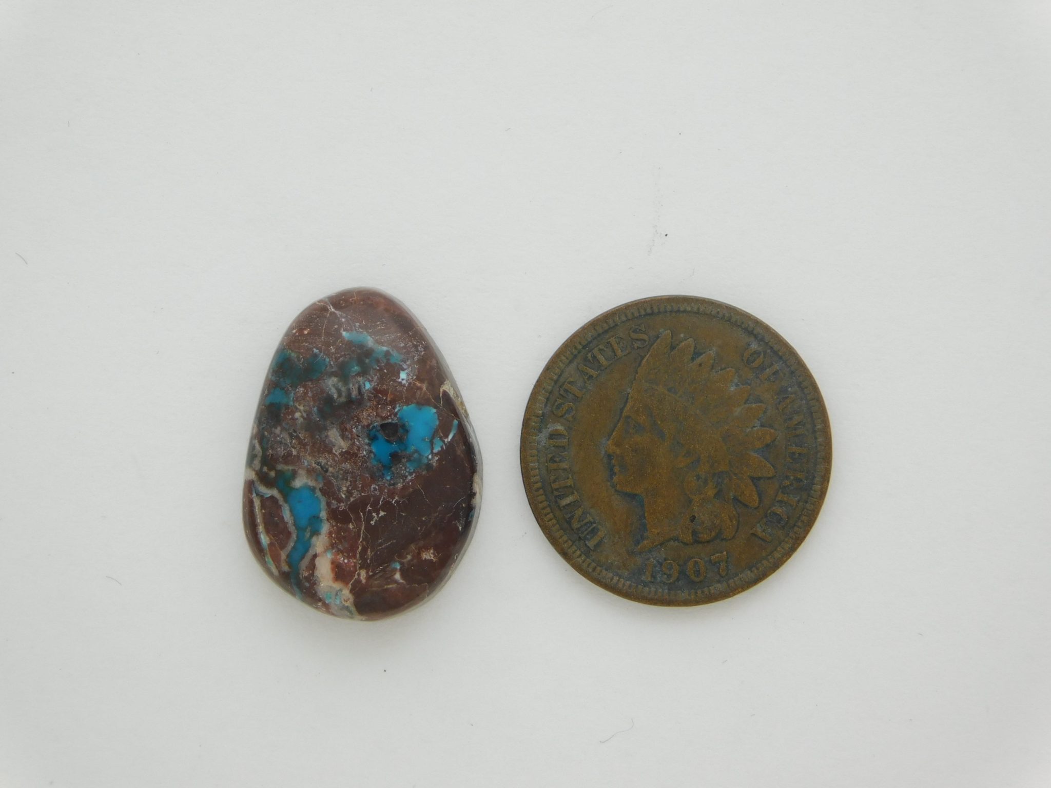 BISBEE TURQUOISE Cabochon 13.5 carats