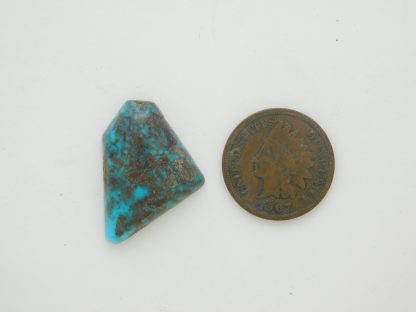 BISBEE TURQUOISE Cabochon 16 carats