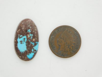 BISBEE TURQUOISE Cabochon 13 carats
