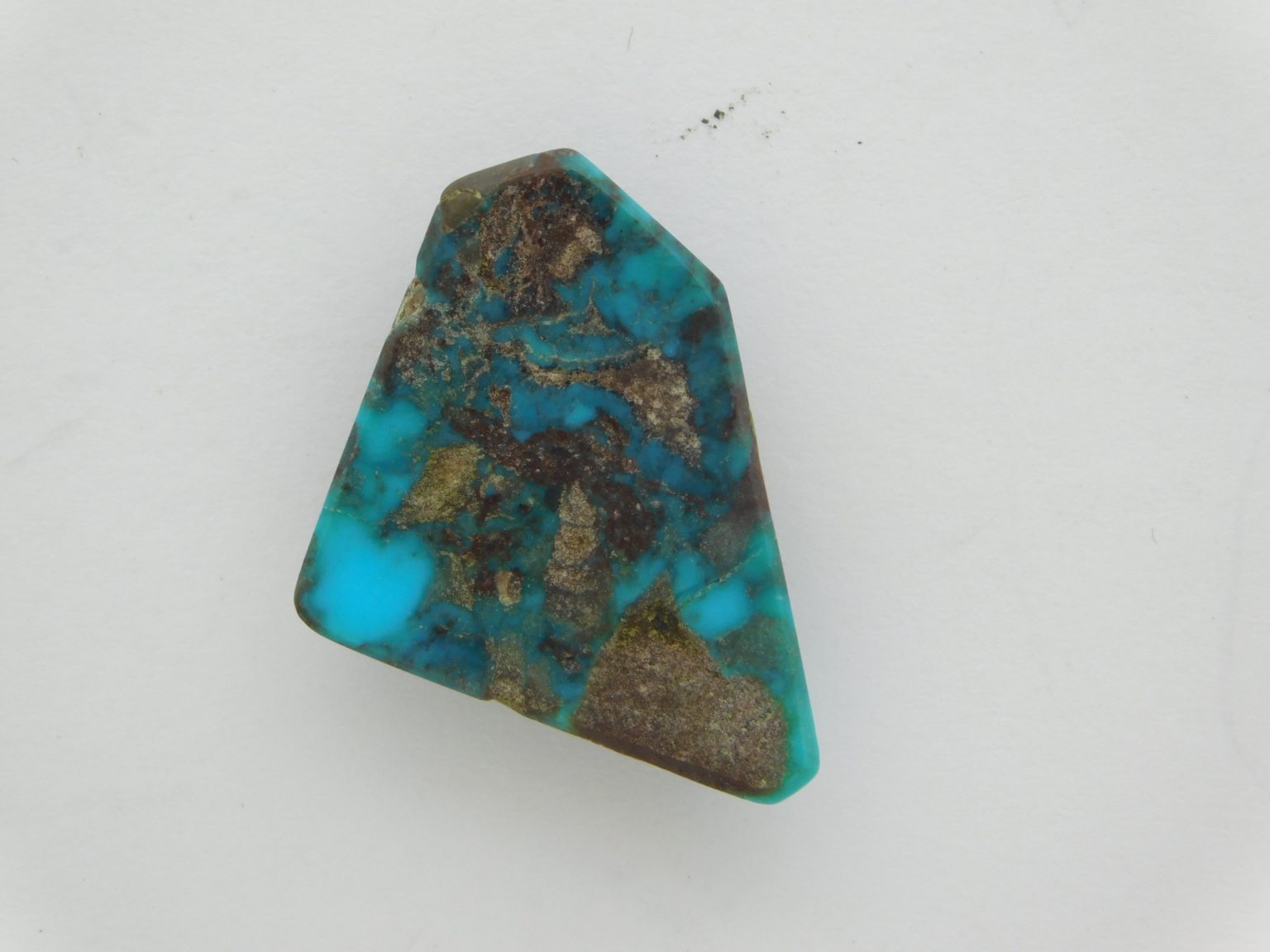 Rear view of Bisbee Turquoise Cabochon 16 carats